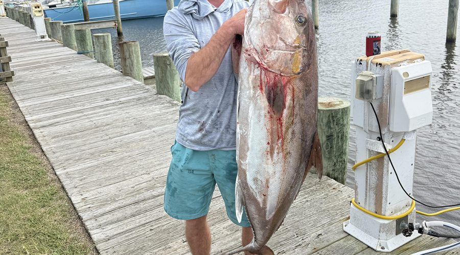 Henry Barksdale of Sutherland, Virginia, poses with his state record almaco jack. Photo: Division of Marine Fisheries