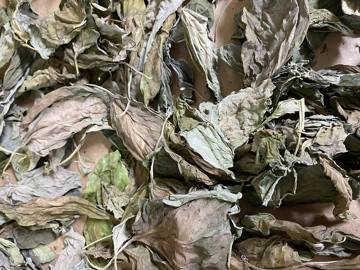 Freshly dried herbs add a wonderful touch to foods. Photo: Heidi Skinner
