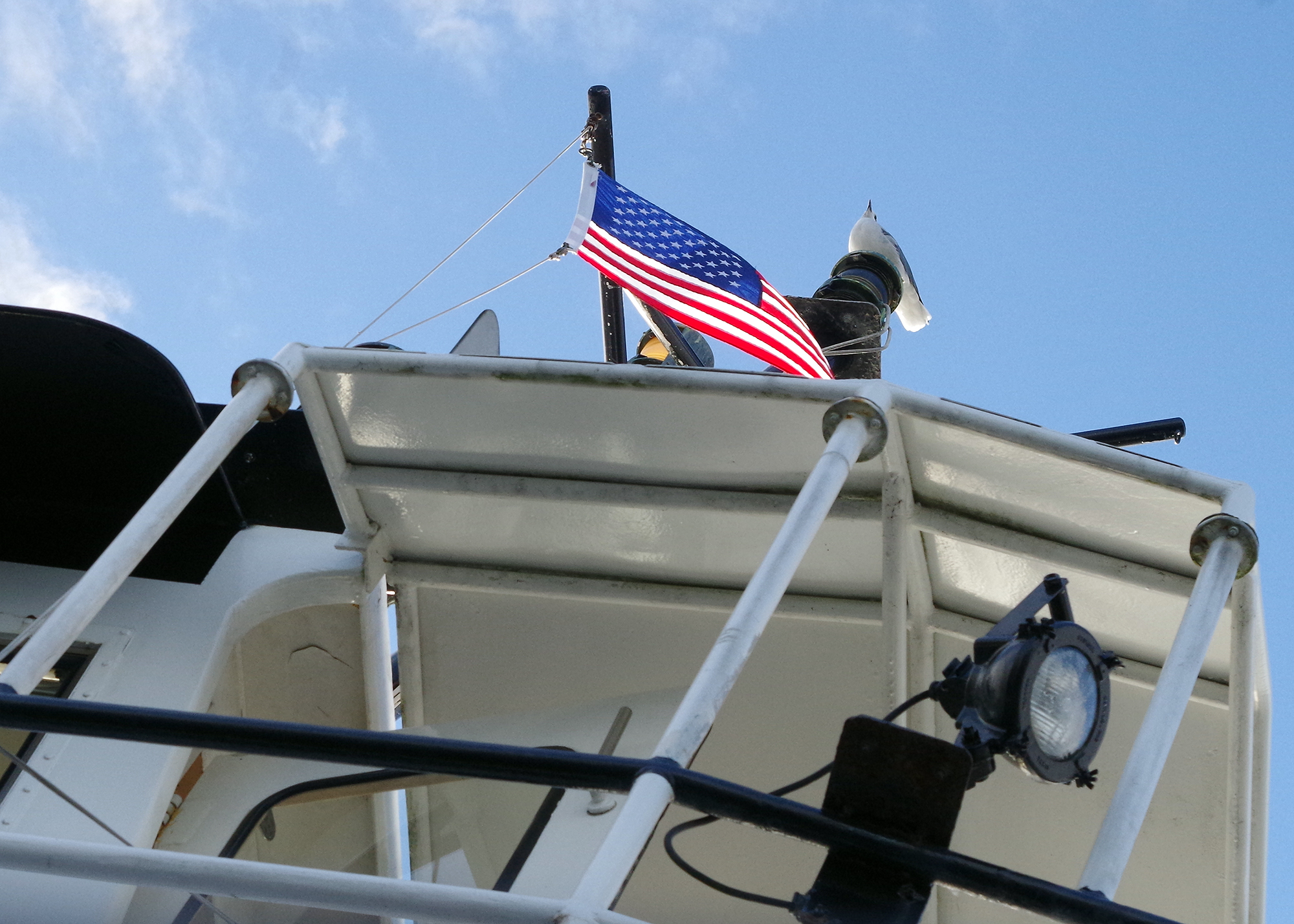 A gull keeps a patriotic watch on the North Carolina Department of Transportation Ferry Division's vehicle ferry Kinnakeet as it plies the Neuse River between Minnesott Beach and Cherry Branch. Photo: Mark Hibbs