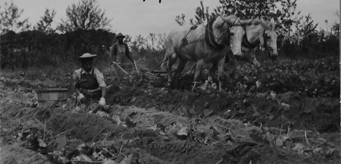 Photo courtesy, State Archives of North Carolina