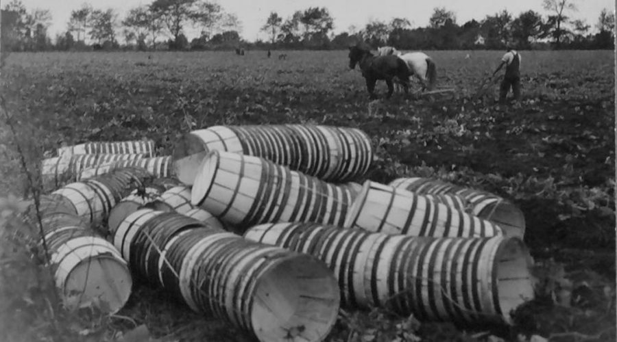 Courtesy, State Archives of North Carolina