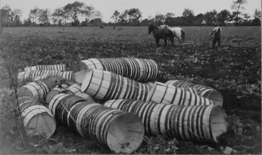 Courtesy, State Archives of North Carolina