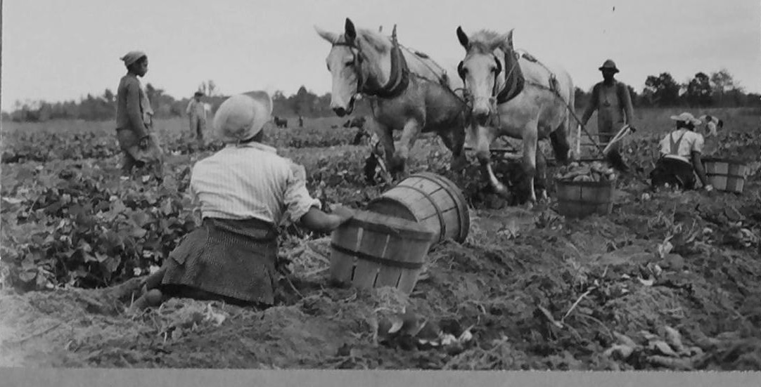 Photo courtesy, State Archives of North Carolina