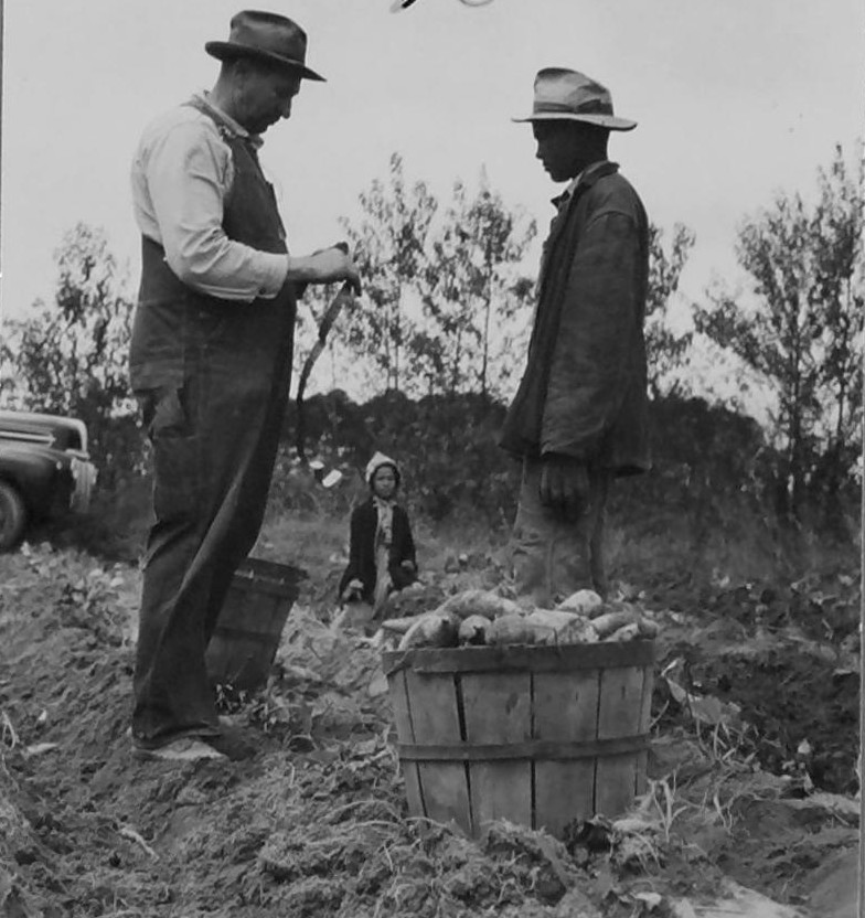 Harlowe, N.C., 1942. Photo courtesy, State Archives of North Carolina