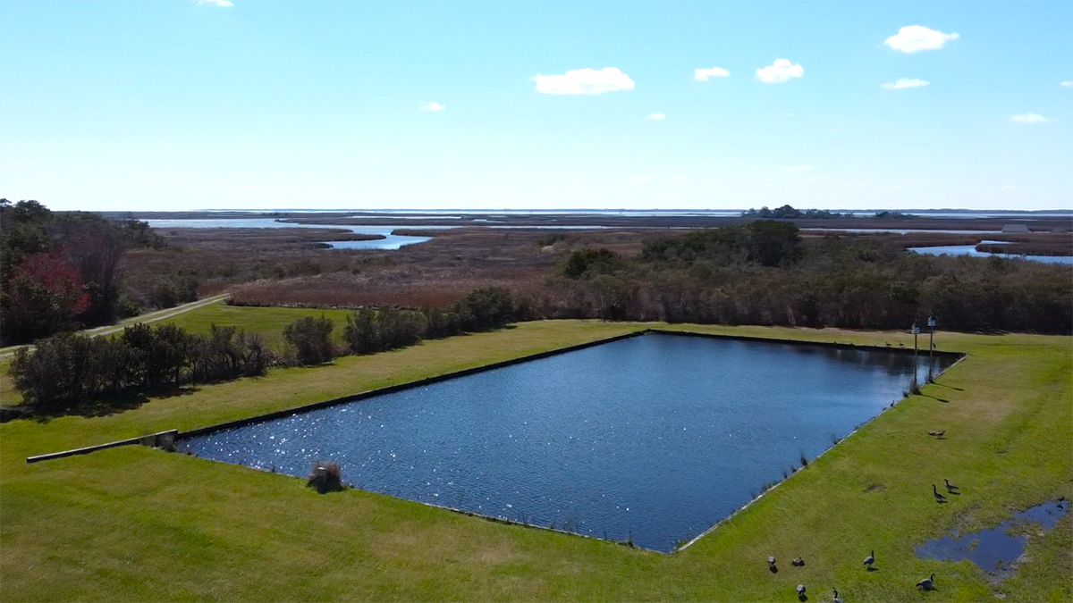 The bulkheaded pond, shown here before restoration, was square and plagued by sinking water levels. Photo: Mike Ruck
