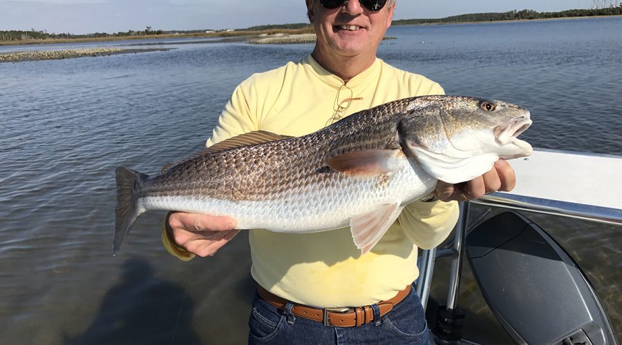 Rick Harper of Rock Hill, South Carolina, shows us the results. Photo: Gordon Churchill