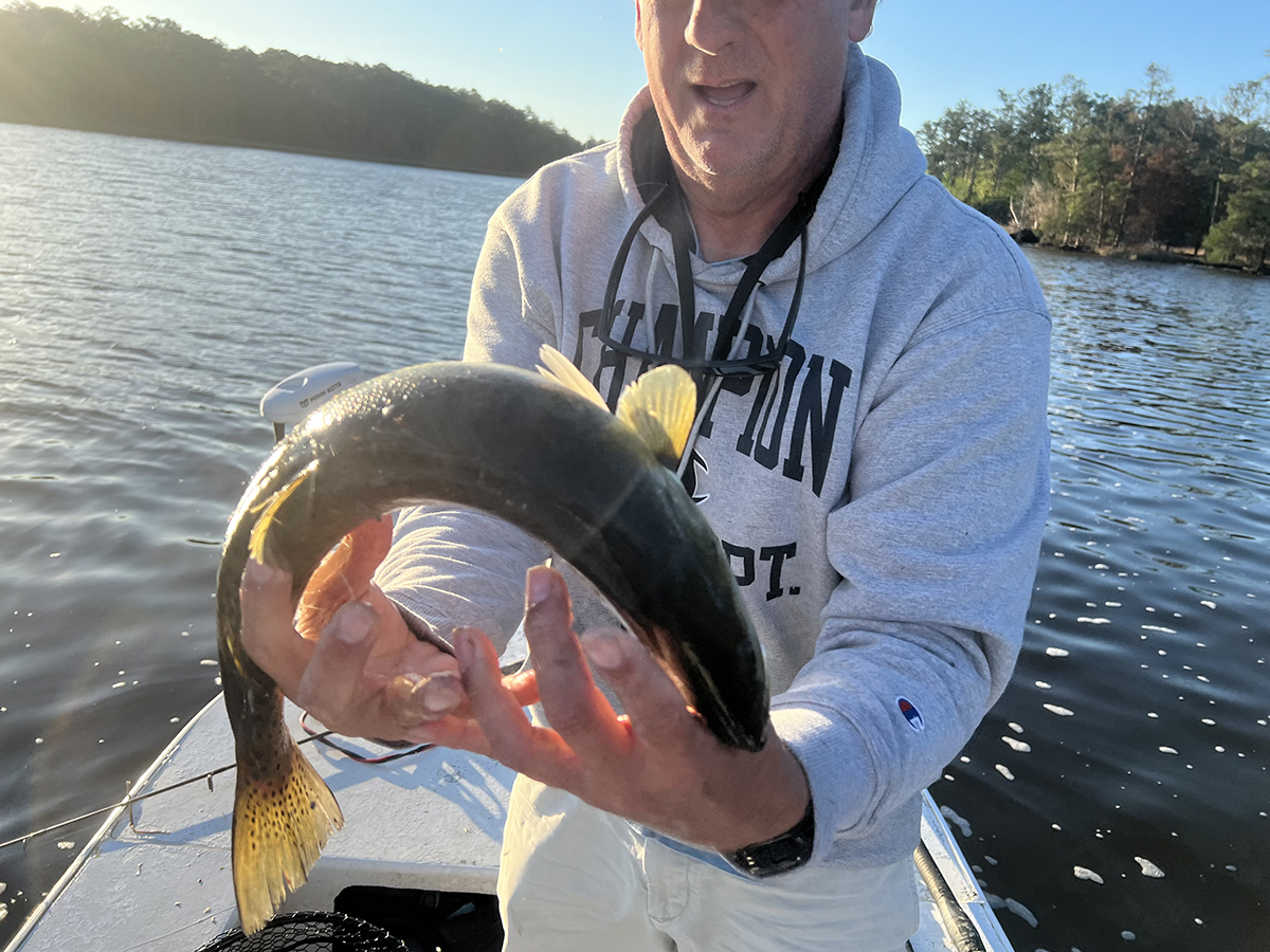 Sometimes they don’t cooperate. Photo: Gordon Churchill