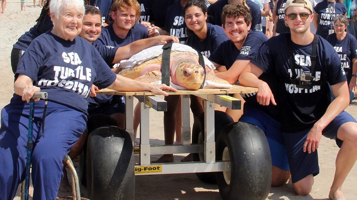 Jean Beasley, far left, poses with a sea turtle patient in this photo from the Karen Beasley Sea Turtle Rescue and Rehabilitation Center's Facebook page.