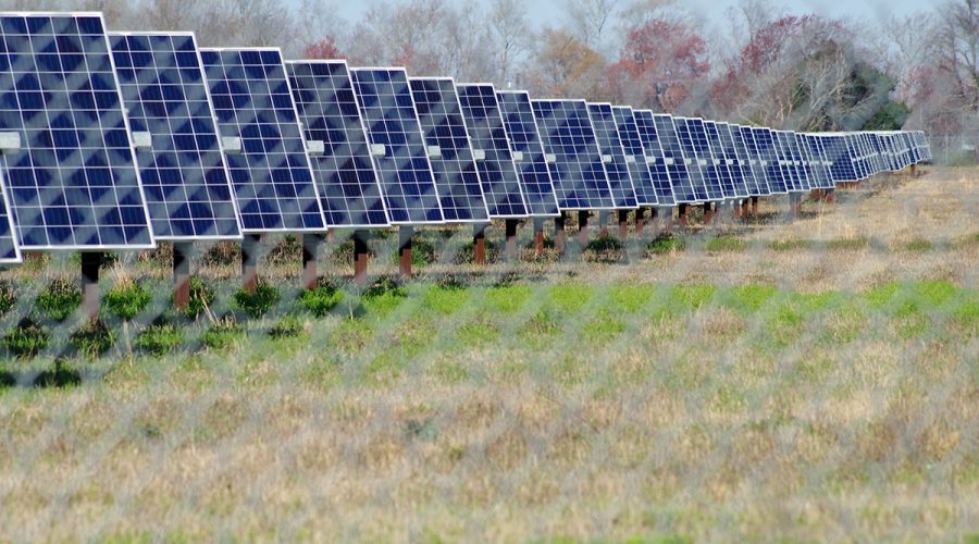 Solar panels extend into the distance at a solar power array in eastern North Carolina. Photo: Mark Hibbs