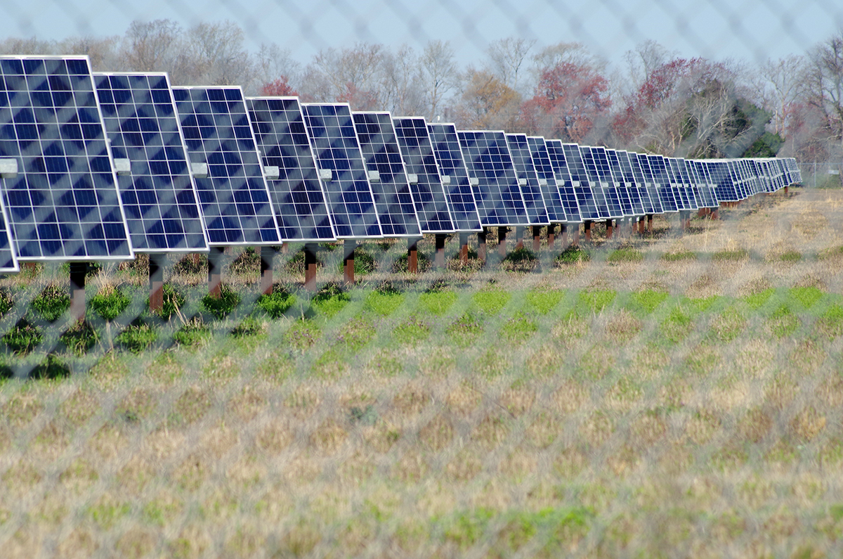 Solar panels extend into the distance at a solar power array in eastern North Carolina. Photo: Mark Hibbs