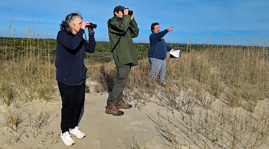 Ocracoke Christmas Bird Count participants, from left, Monica Corcoran Matt Janson and Tom Schettino scan the horizon during the last count Dec. 30, 2024. Photo: Peter Vankevich