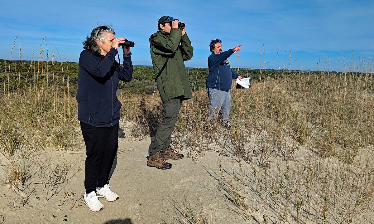 Volunteer for Ocracoke, Portsmouth Christmas bird counts