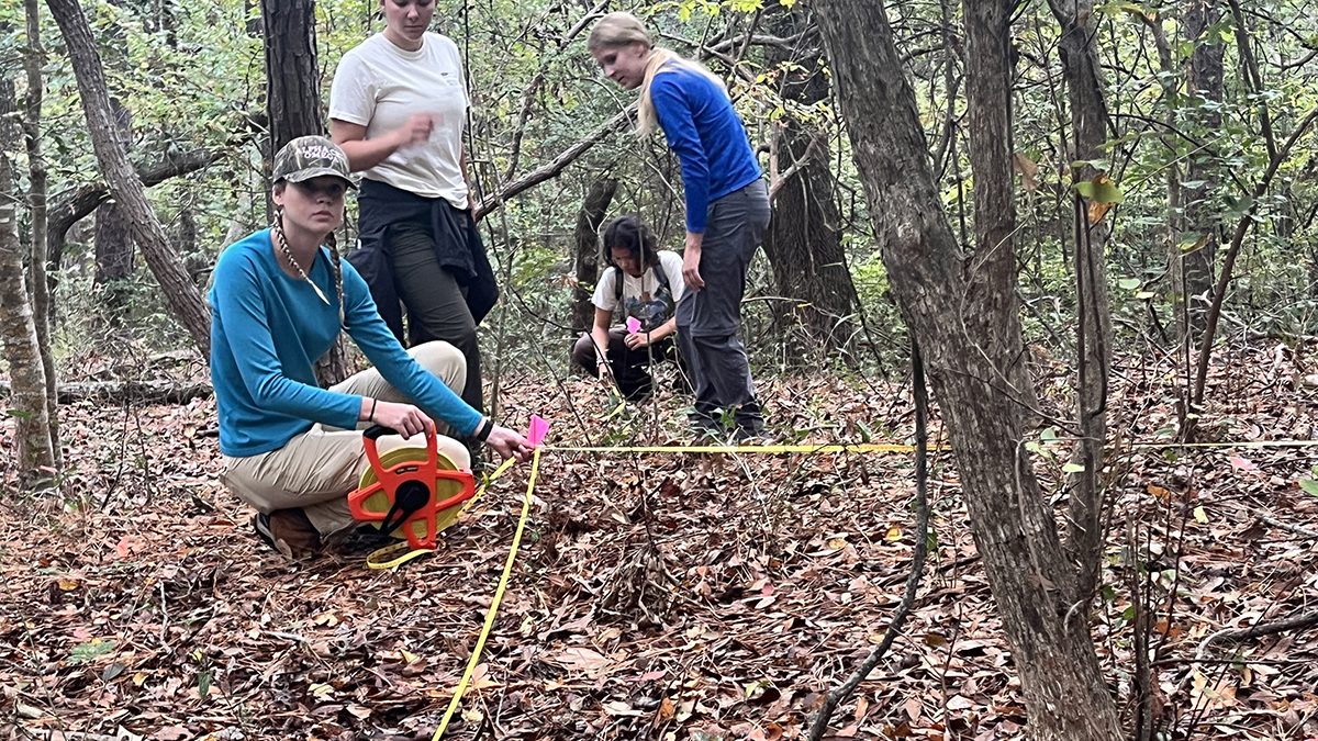 University of North Carolina Chapel Hill Institute for the Environment’s Outer Banks Field Site students take measurements in Nags Head Woods. Photo: CSI
