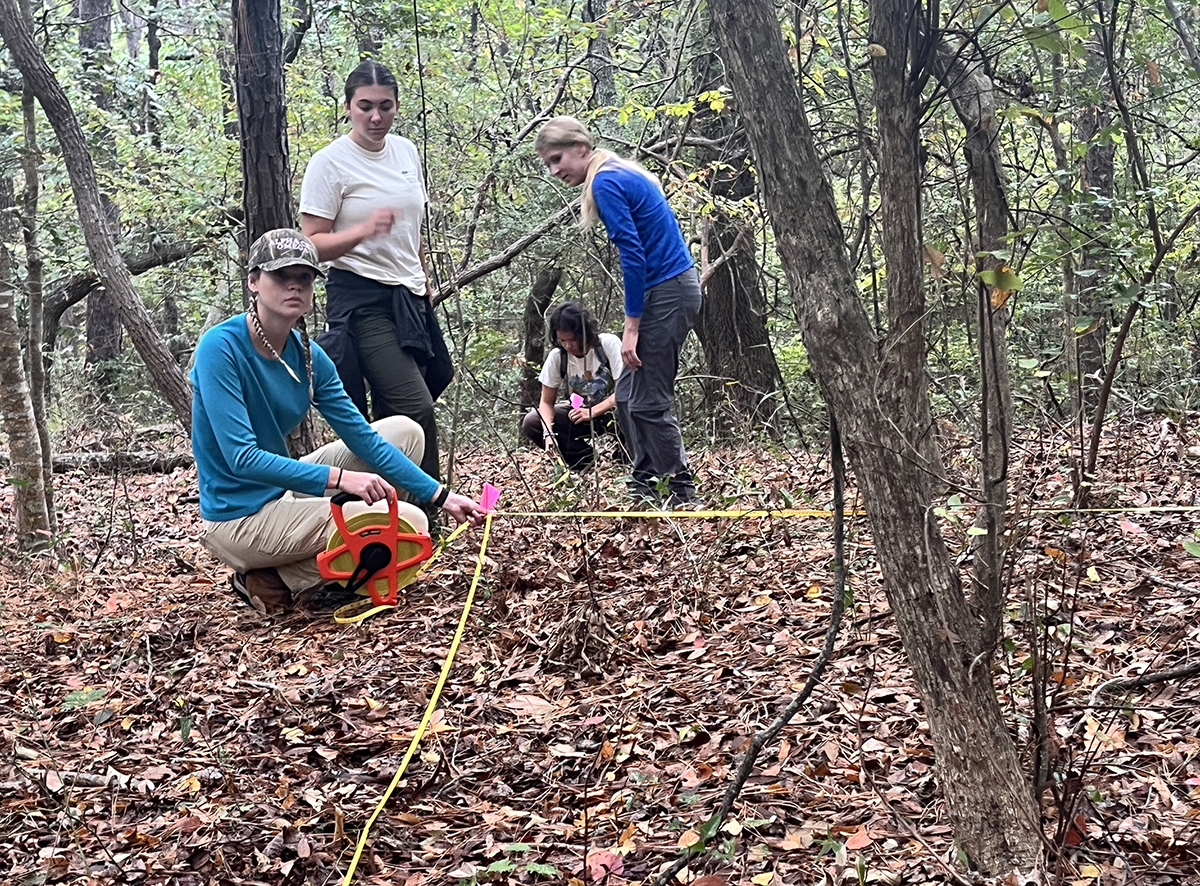 University of North Carolina Chapel Hill Institute for the Environment’s Outer Banks Field Site students take measurements in Nags Head Woods. Photo: CSI