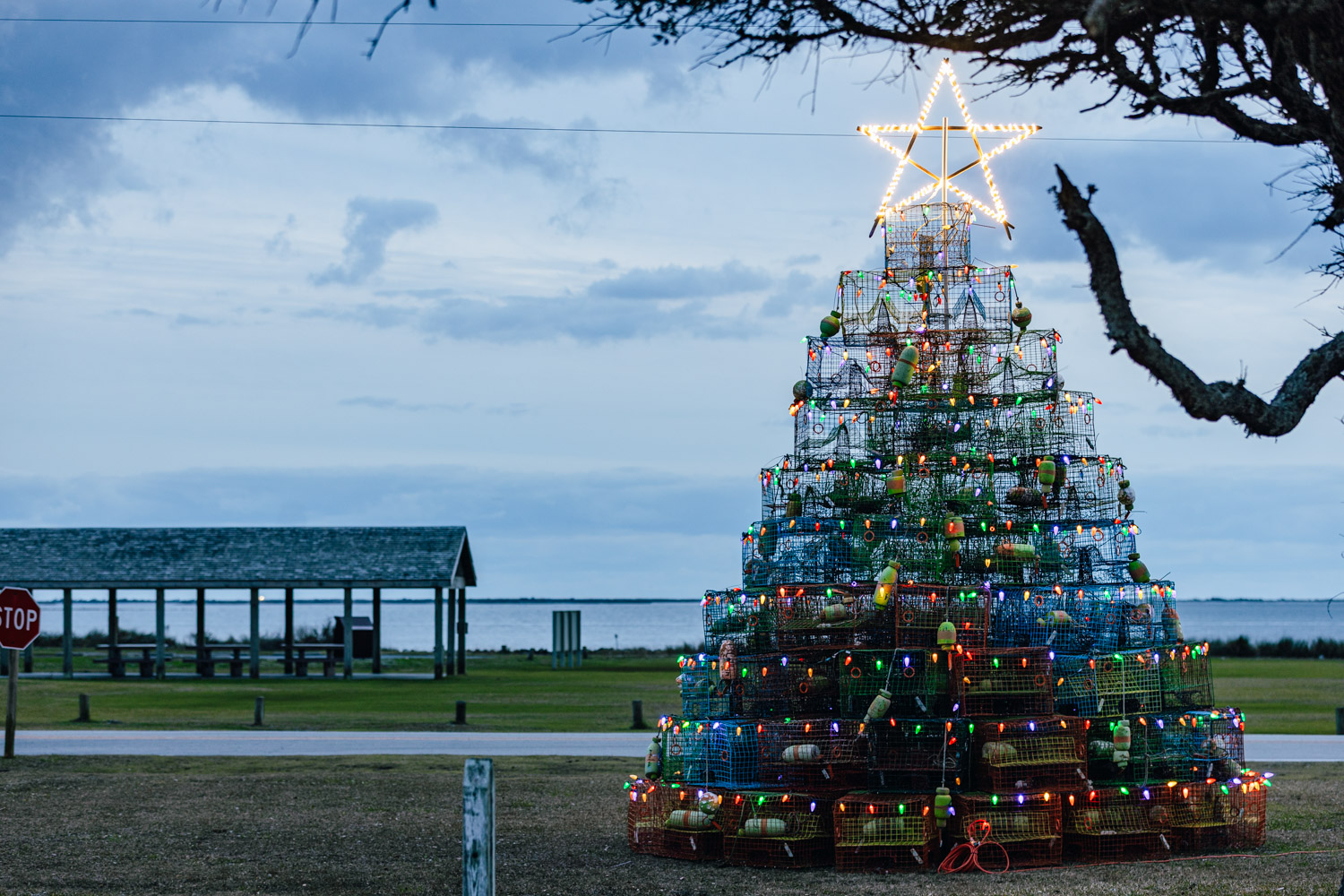 For the last several years, a small group of volunteers build a more than two-story Christmas tree made entirely out of crab pots. Photo: Baxter Miller