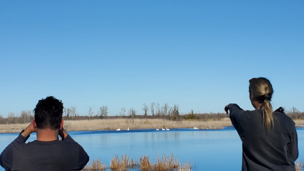 Two participants birdwatch during a past Coastal Culture and Waterfowl Watching Excursion with the N.C. Maritime Museum in Beaufort. Photo: N.C. Natural and Cultural Resources