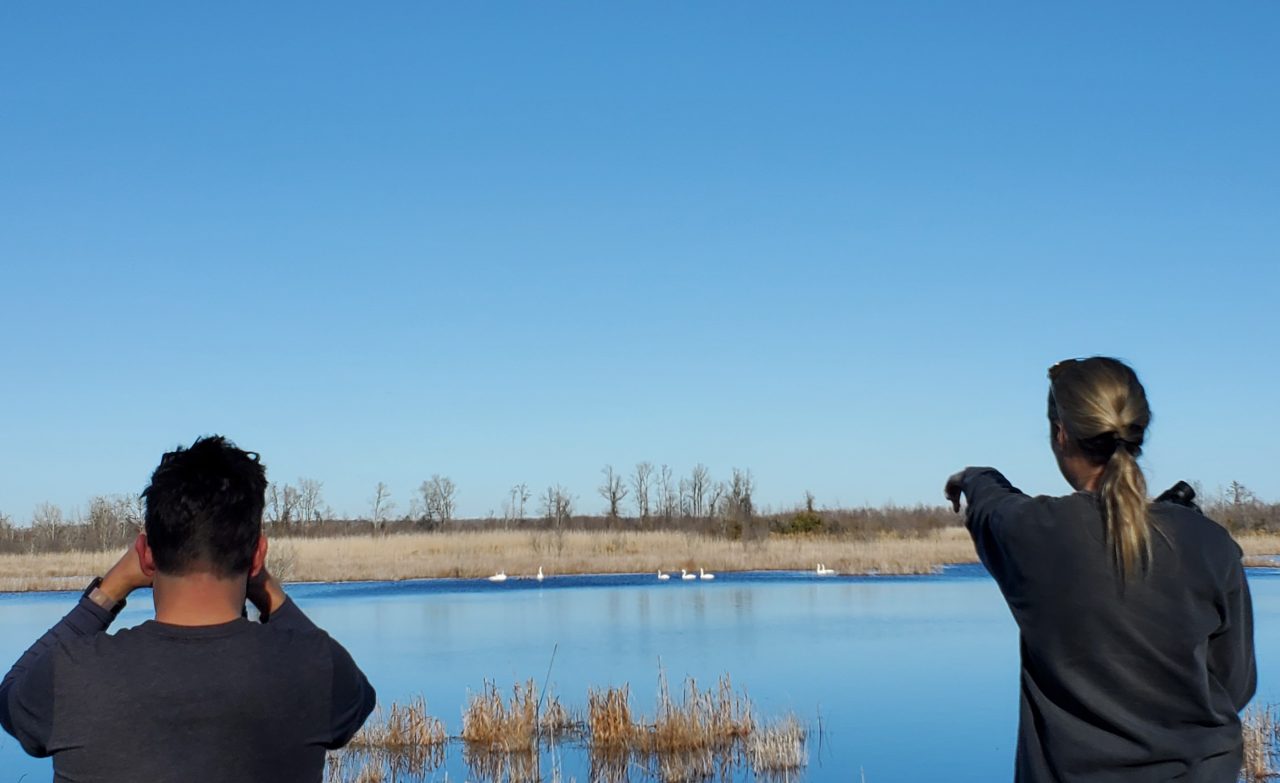 Two participants birdwatch during a past Coastal Culture and Waterfowl Watching Excursion with the N.C. Maritime Museum in Beaufort. Photo: N.C. Natural and Cultural Resources