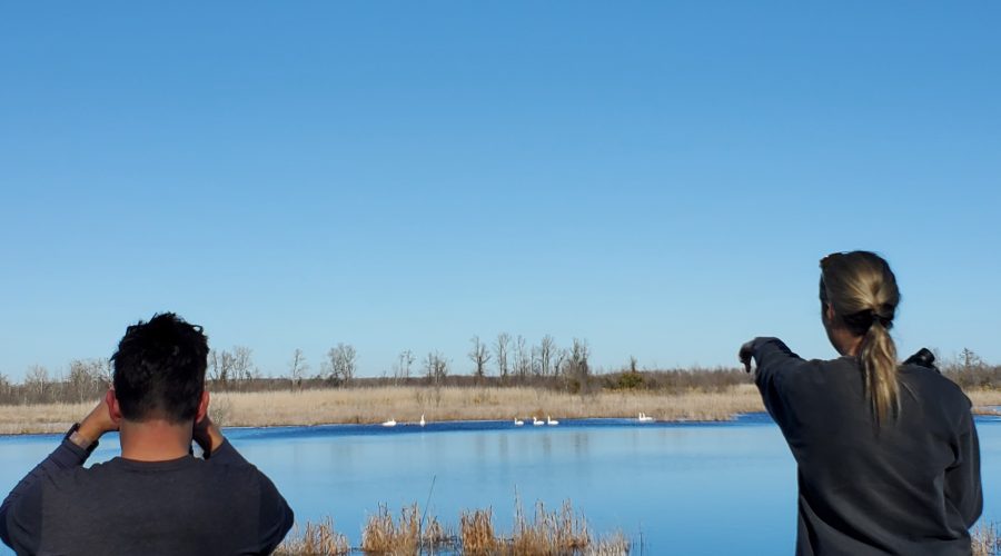 Two participants birdwatch during a past Coastal Culture and Waterfowl Watching Excursion with the N.C. Maritime Museum in Beaufort. Photo: N.C. Natural and Cultural Resources