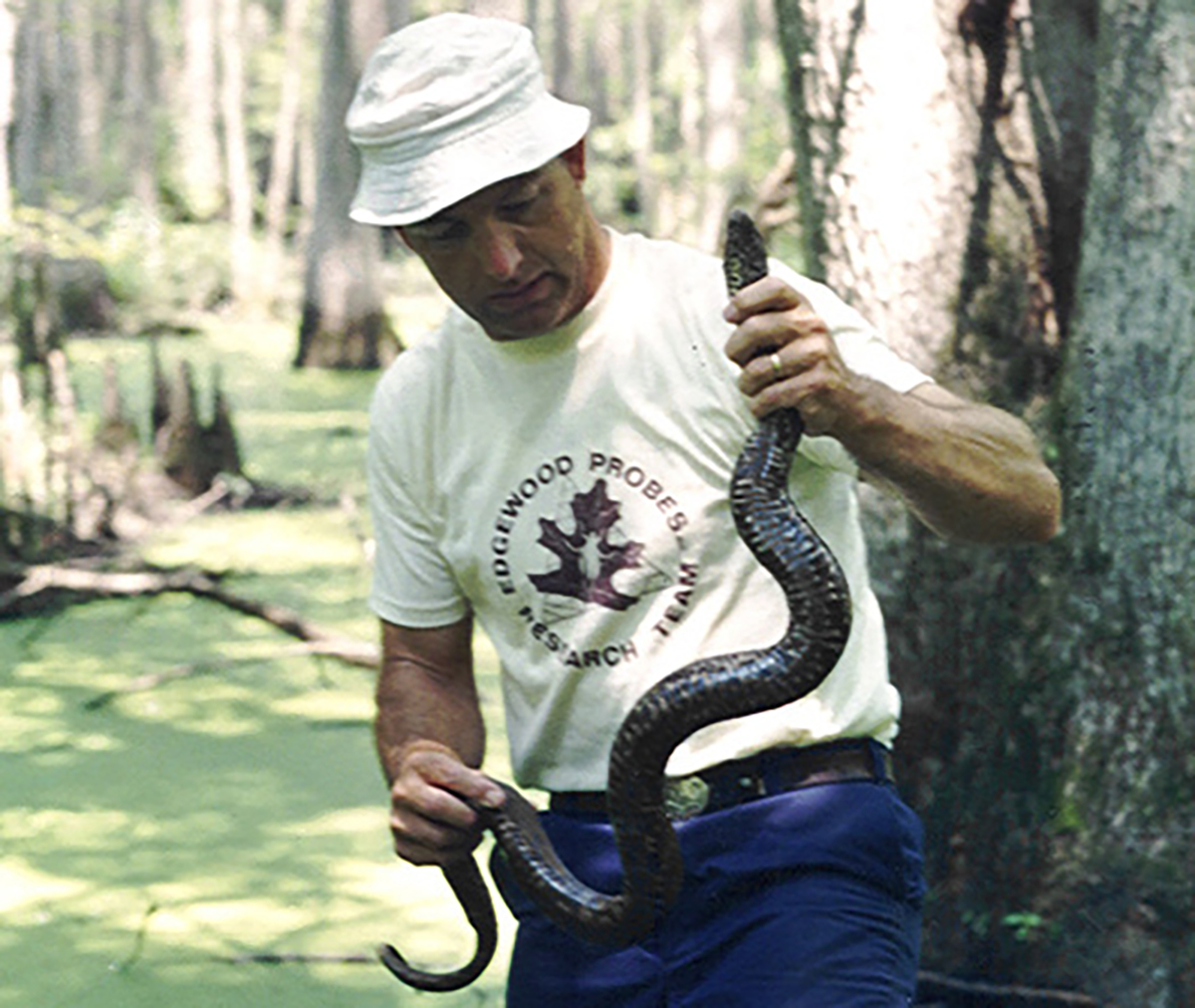 Herpetologist Don Brothers handles a brown water snake. Photo courtesy of the author.