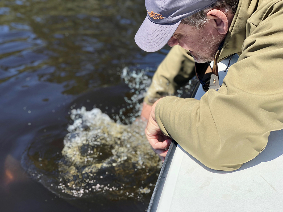 Releasing an 8-pound speckled trout that resulted from use of a jig-head plastic lure. Photo: Gordon Churchill