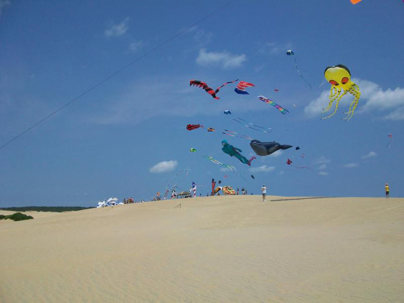 Kites fly high above Jockey's Ridge State Park. Photo: NC Digital Collections