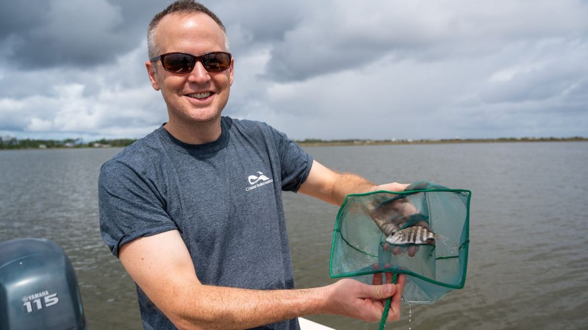 Dr. Jim Morley, assistant professor in the Department of Biology at East Carolina University, poses with a sheepshead. Photo: ECU