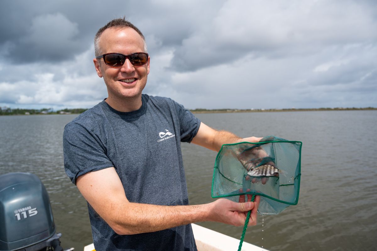 Dr. Jim Morley, assistant professor in the Department of Biology at East Carolina University, poses with a sheepshead. Photo: ECU