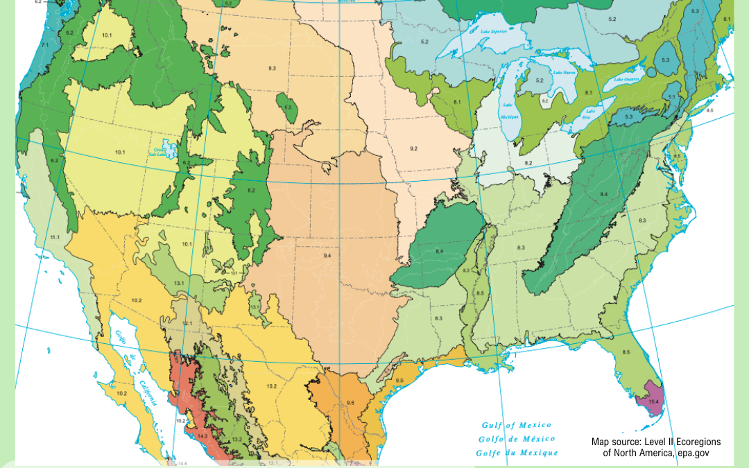 Submissions are due midnight March 30 CDT for he Native Plant Art Contest and Exhibit hosted by two Latino-led nonprofits based in Texas. Image: Arte Sana