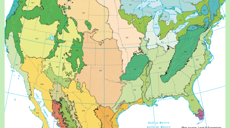 Submissions are due midnight March 30 CDT for he Native Plant Art Contest and Exhibit hosted by two Latino-led nonprofits based in Texas. Image: Arte Sana