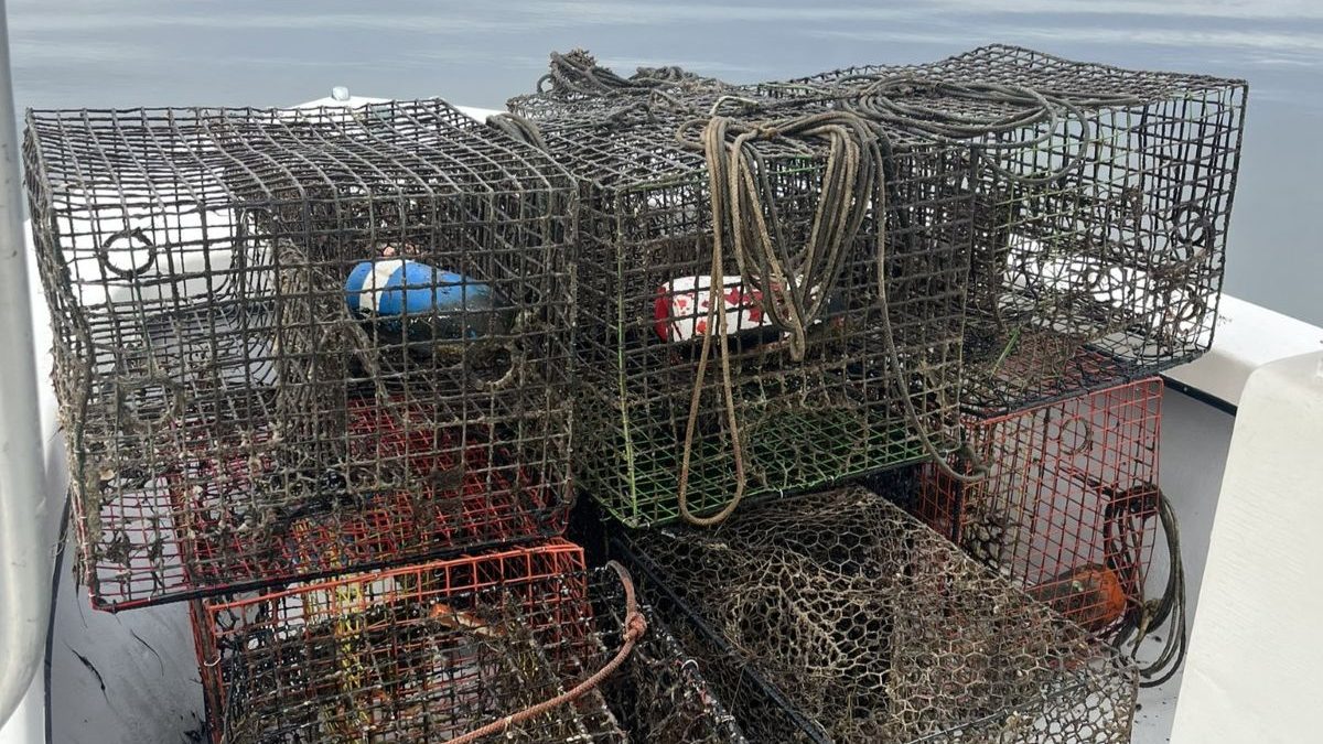 Crab pots are stacked after being recovered from coastal waters during a past Lost Fishing Gear Recovery Project. Photo: N.C. Coastal Federation