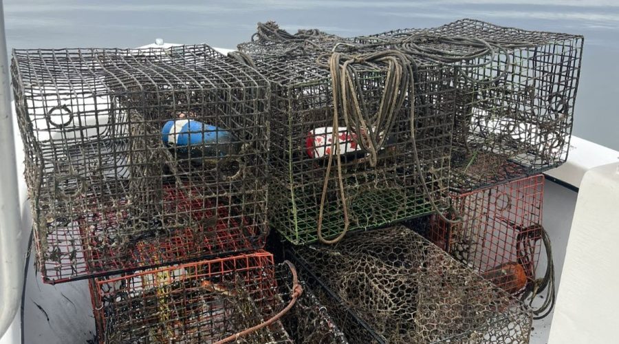 Crab pots are stacked after being recovered from coastal waters during a past Lost Fishing Gear Recovery Project. Photo: N.C. Coastal Federation