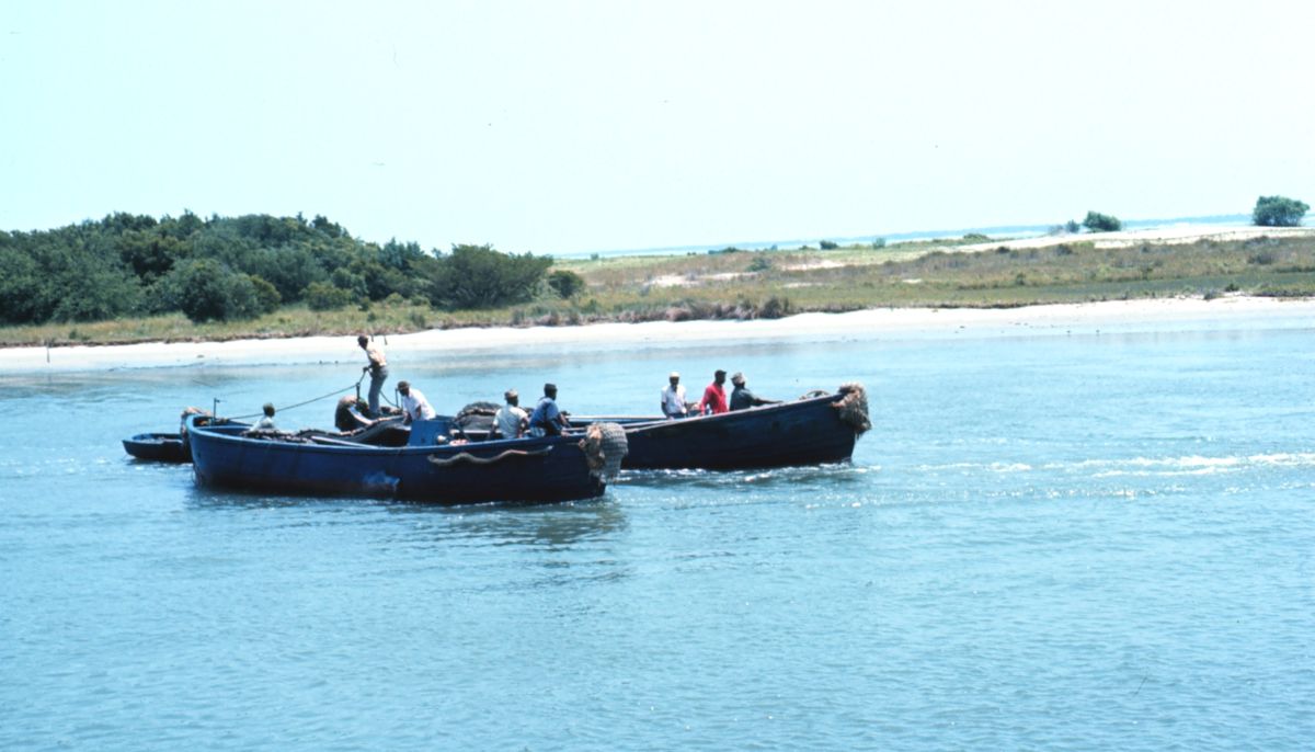 Purse seining boats in Beaufort waters June 1968. Photo: Bob Williams/NOAA