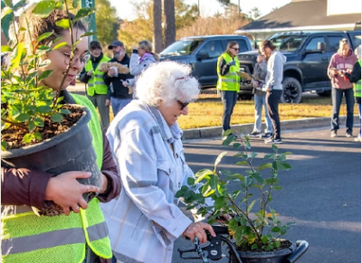 Alliance for Cape Fear Trees is hosting a Valentine's Day tree giveaway in downtown Wilmington. Photo: Alliance for Cape Fear Trees
