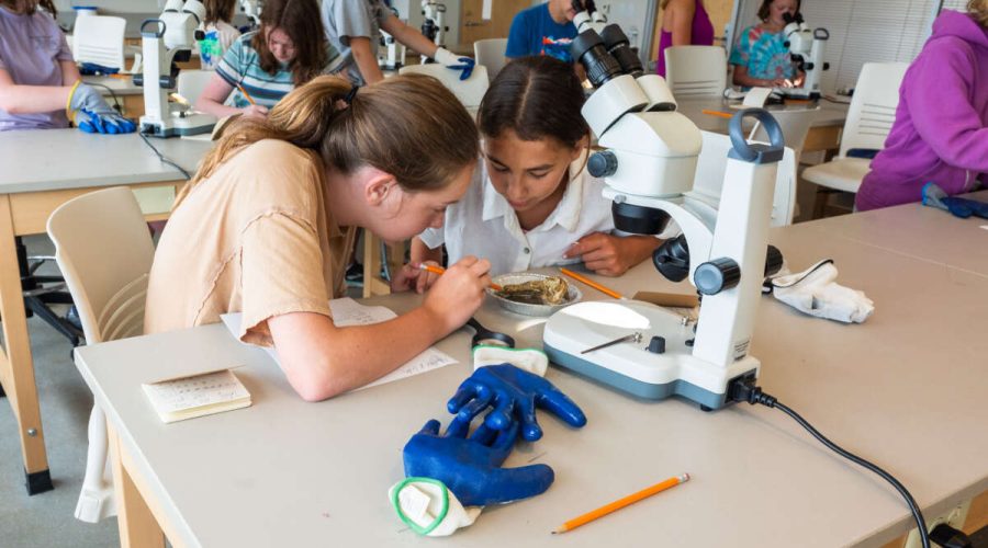 Online registration for summer camps at Coastal Studies Institute opens March 2. Photo: ECU
