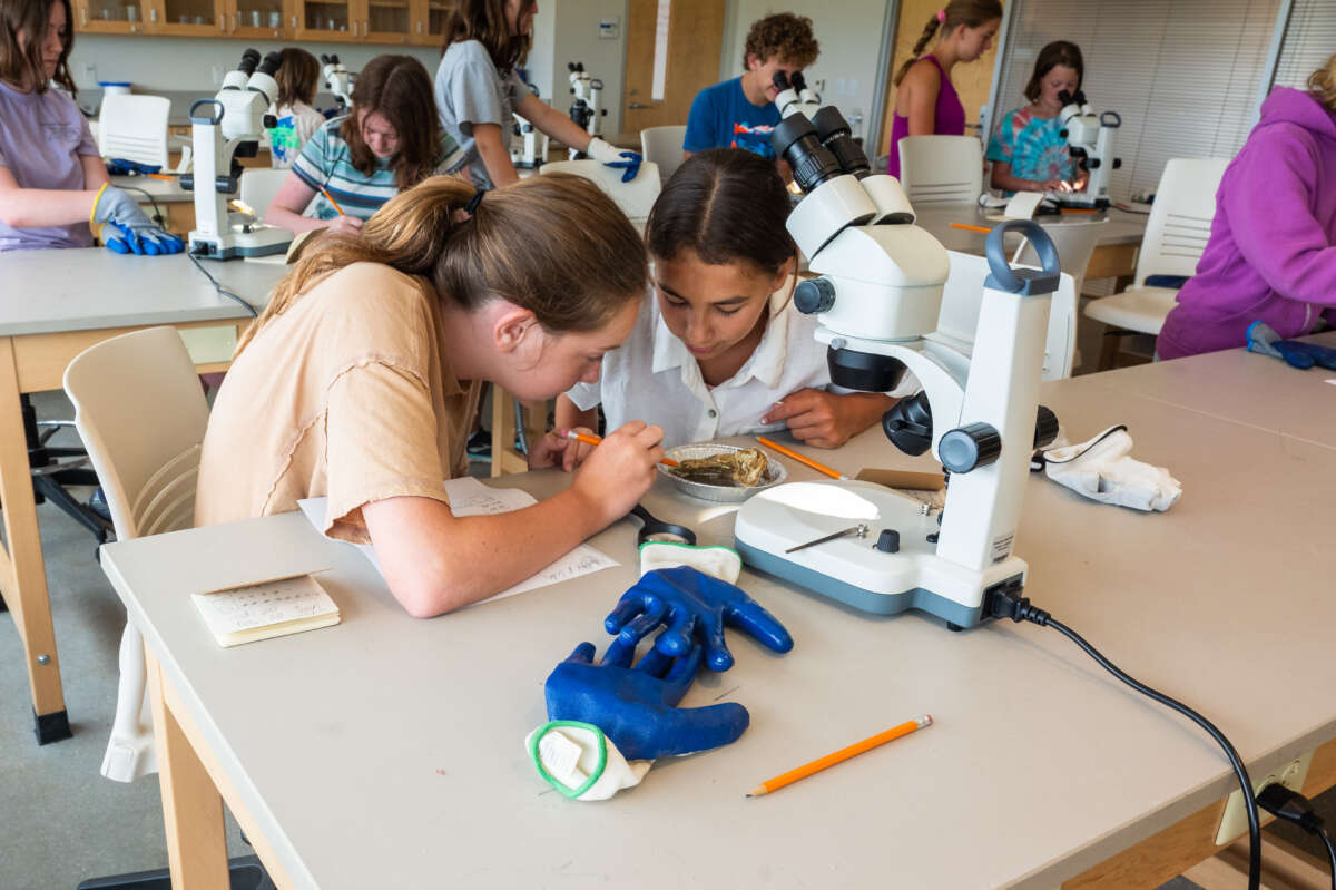 Online registration for summer camps at Coastal Studies Institute opens March 2. Photo: ECU