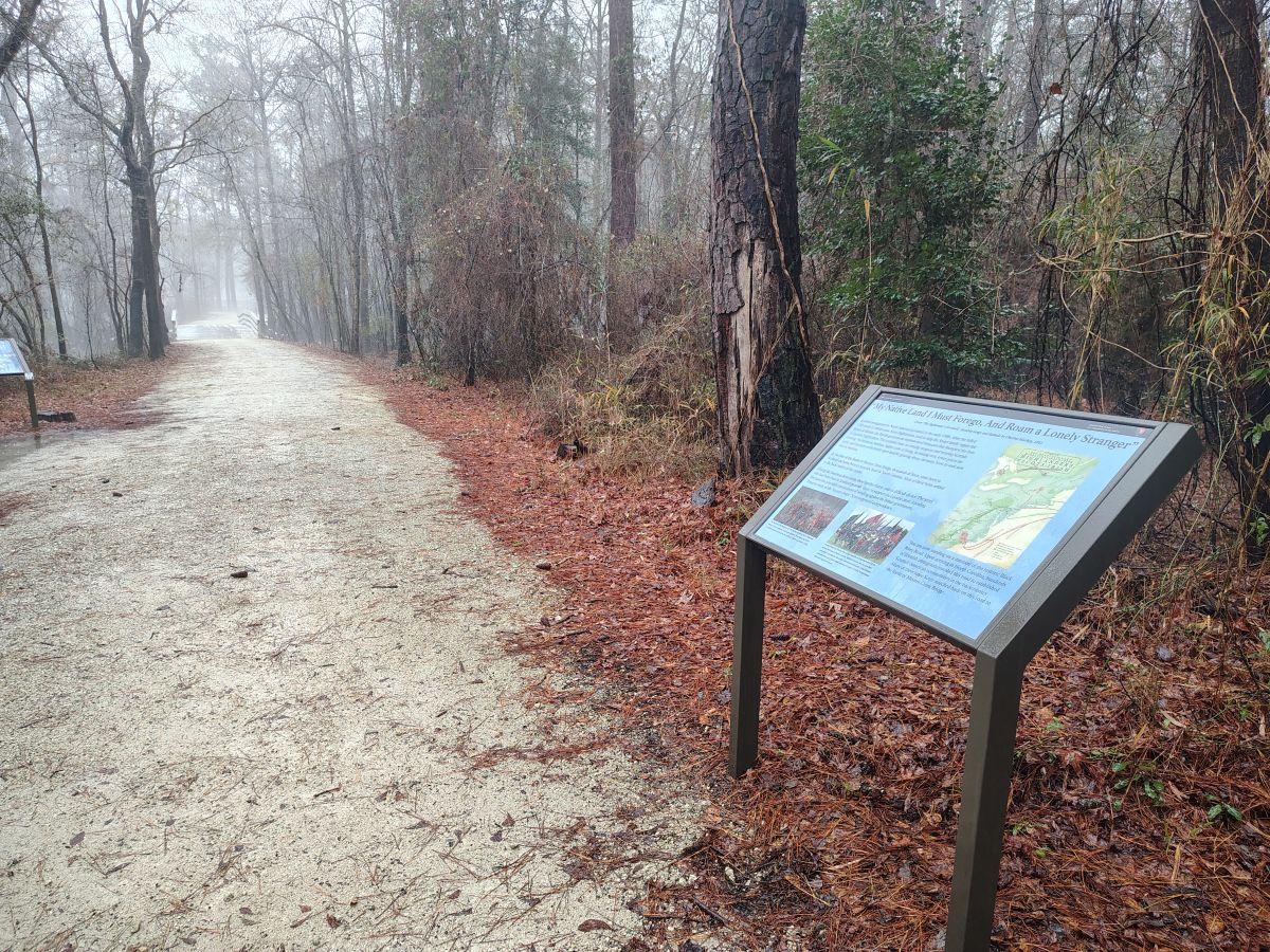 Black River Road approaching Moores Creek Bridge from the west. Photo: Jennifer Allen
