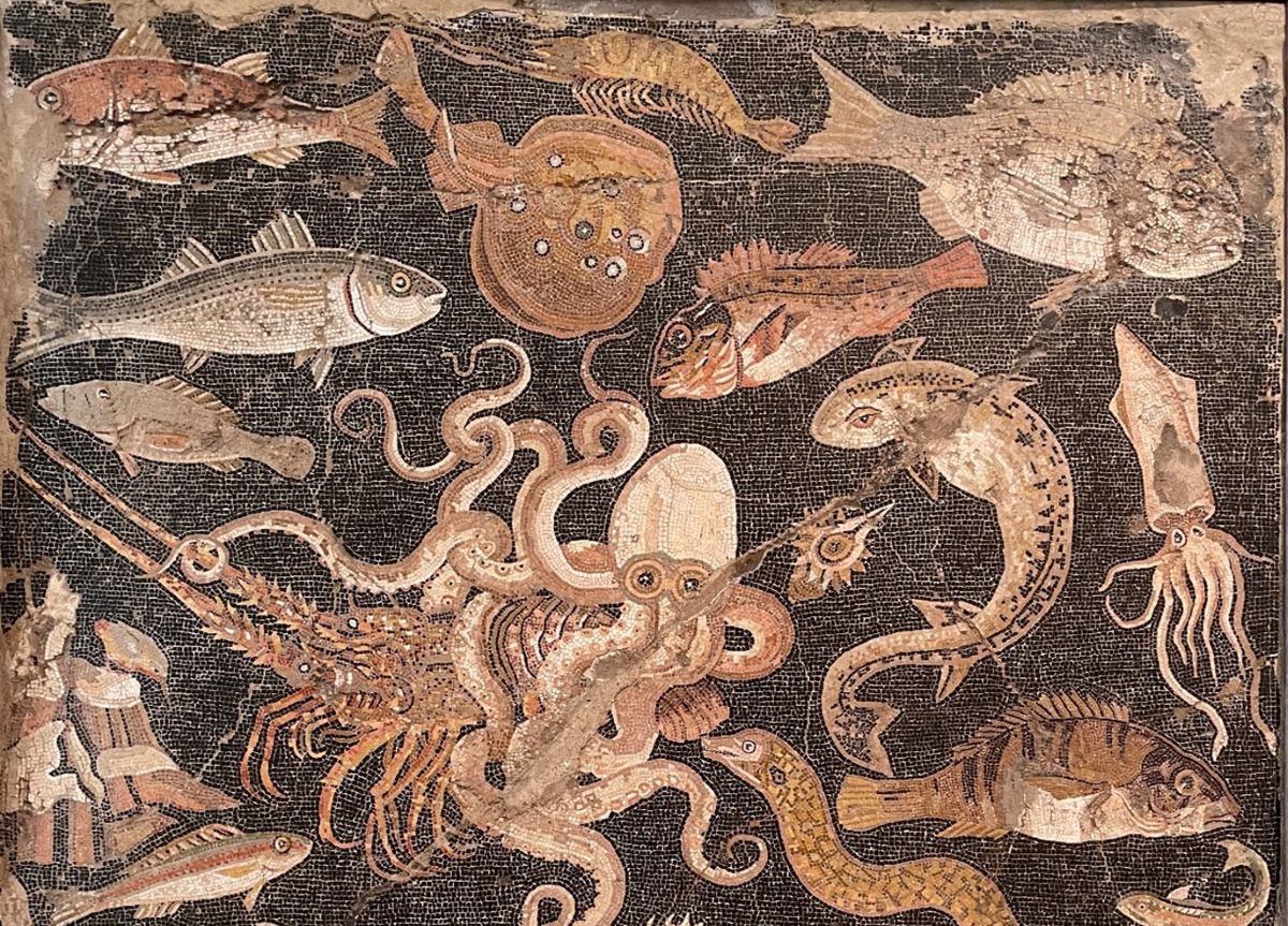 Portion of a tile mosaic from Pompeii, buried in volcanic ash in 79 C.E., shows two grey mullet in the upper left corner (sorry, a few tiles have dropped off after two millennia). From the National Archaeological Museum of Naples.