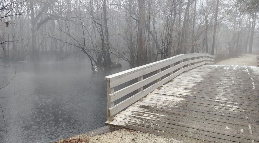 The Battle at Moores Creek Bridge Feb. 27, 1776, was the first decisive patriot victory of the American Revolution. Photo: Jennifer Allen