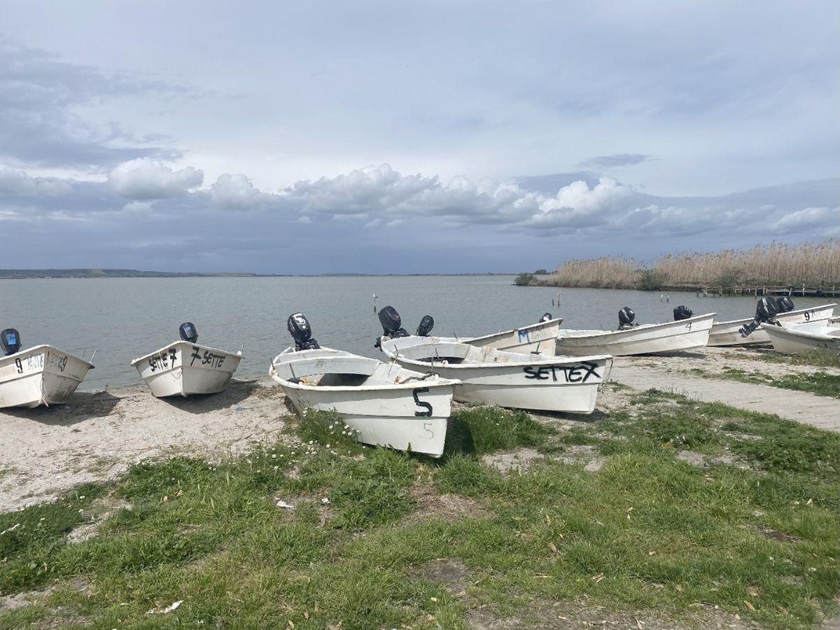 When we visited the fishermen’s consortium headquarters in Cabras, we were amazed to see that the fishermen’s boats were all alike, narrow-sterned molded fiberglass skiffs with a single type of small outboard engine. Photo: Lida Pigott Burney