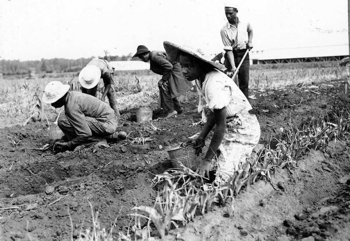 Terra Ceia, 1941. Courtesy, State Archives of North Carolina