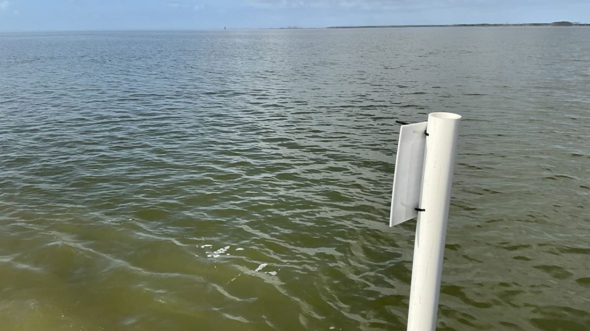 Site of one of three proposed shellfish leases in Hyde County. Photo: DCM