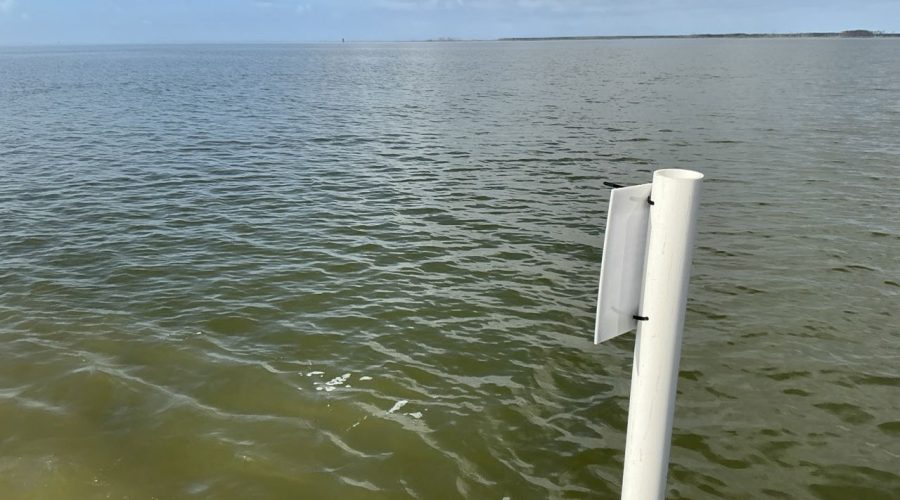 Site of one of three proposed shellfish leases in Hyde County. Photo: DCM