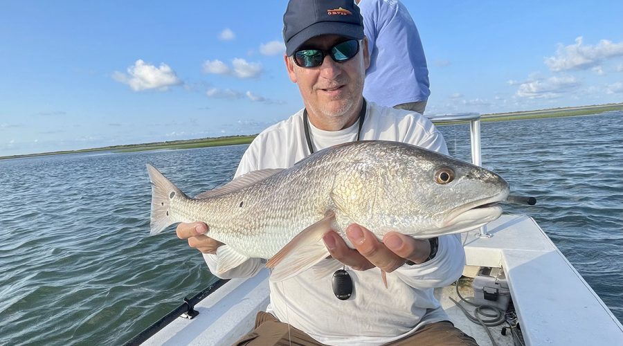 Red drum are healthy and well fed this time of year. Photo: Gordon Churchill