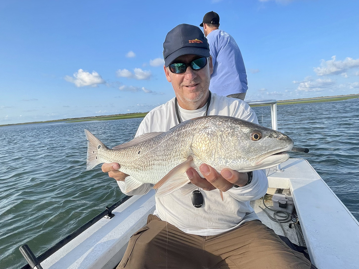 Red drum are healthy and well fed this time of year. Photo: Gordon Churchill