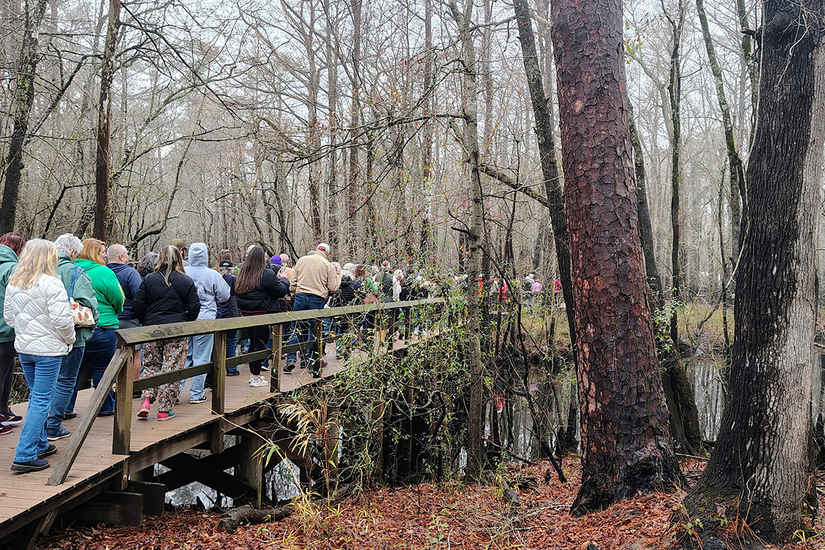 Attendees at the event in February cross the historic bridge at the Moores Creek National Battlefield. Photo: Jennifer Allen