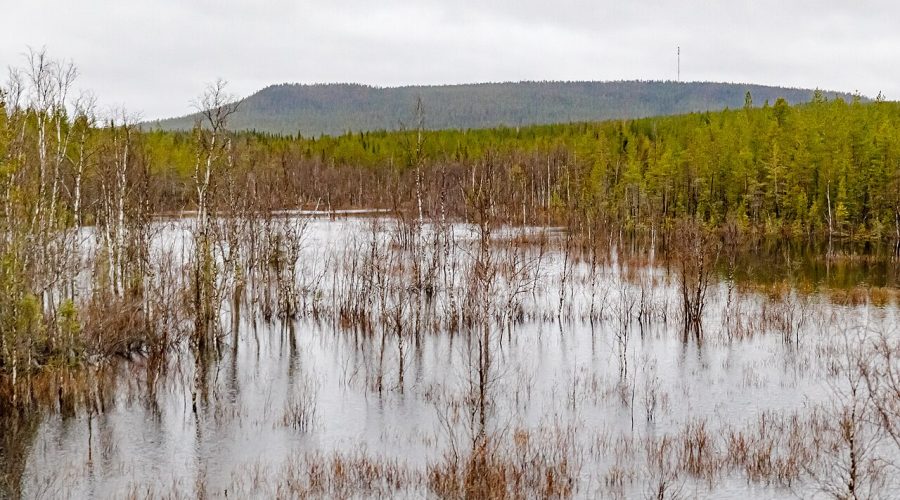 Springtime in Lapland, Finland. Photo: Ninara/Creative Commons license