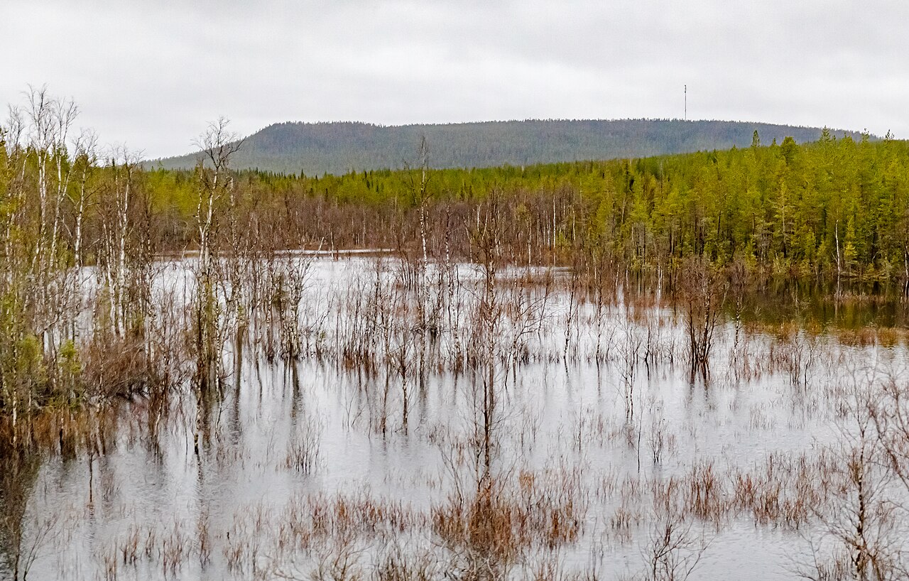 Springtime in Lapland, Finland. Photo: Ninara/Creative Commons license