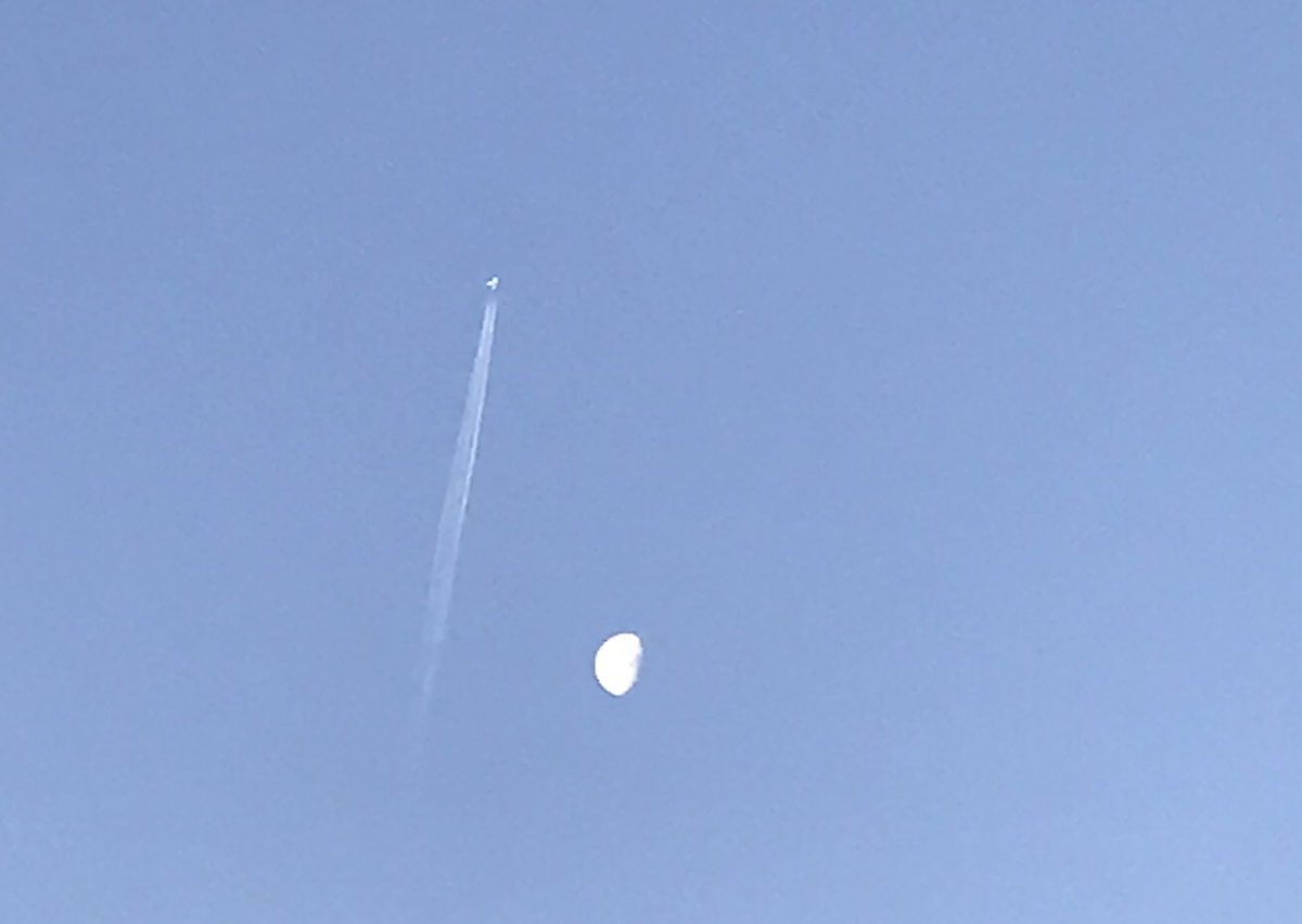 "To the moon, Alice!" Or maybe ... "To infinity and beyond!" Photo: Heidi Skinner