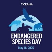 Friday, May 15, is Endangered Species Day 2026.