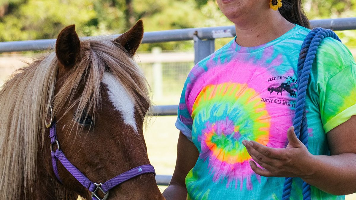 Kirsten Morse is the Corolla Wild Horse Fund's herd management coordinator and will be co-leading the program with Island Farm staff.